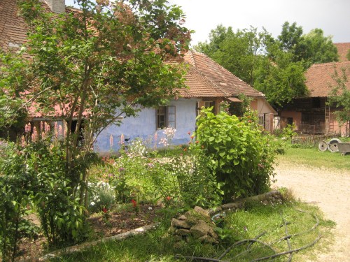 The Miller's garden, Transylvania, 2008