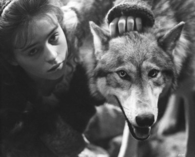 'The Company of Wolves', Neil Jordan, 1984