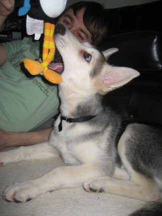 "I have teeth woo hoo!"