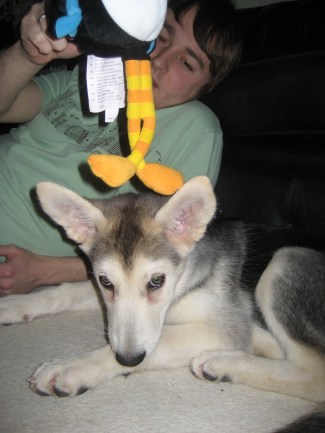 "I'm getting bored and sleepy now!"