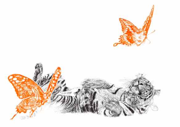 'Butterfly Lover', black and neon orange Biro drawing made especially for SAVE WILD TIGERS by Jane Lee McCracken