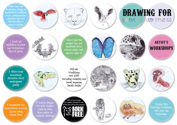 "Drawing for Endangered Species Workshops" Brochure cover by Jane Lee McCracken