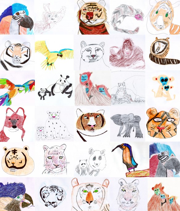 Endangered Species drawings by students of years 5 & 6