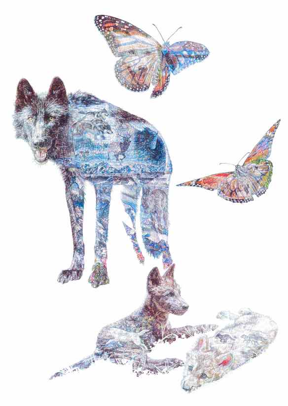 'American Dream', colour Biro drawing, 2014 by Jane Lee McCracken