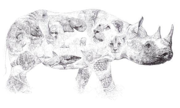 'Rhino 2014', In Homage to 'Africa', black Biro drawing by Jane Lee McCracken