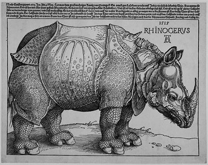 'Rhinoceros', Albrecht Durer, 15