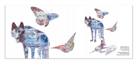 'War + Peace', Selected Biro Drawings 2008 - 2014, by Jane Lee McCracken, 'American Dream' 2014