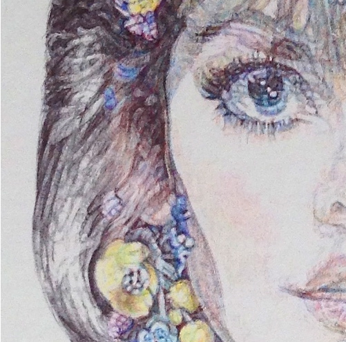 Detail of colour Biro drawing by Jane Lee McCracken