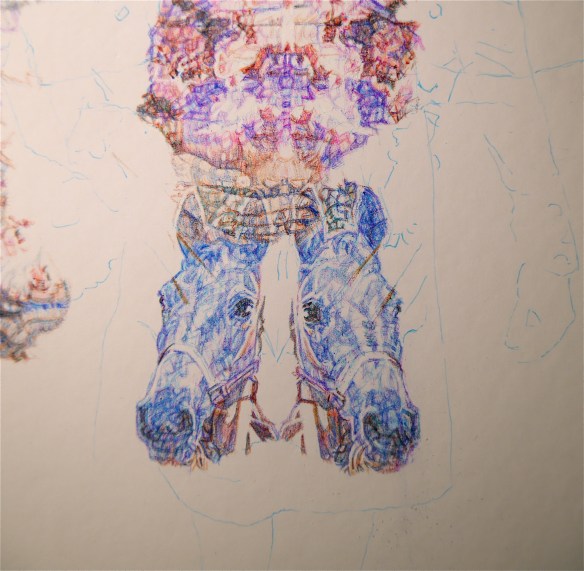 Detail of Roxy, colour Biro drawing